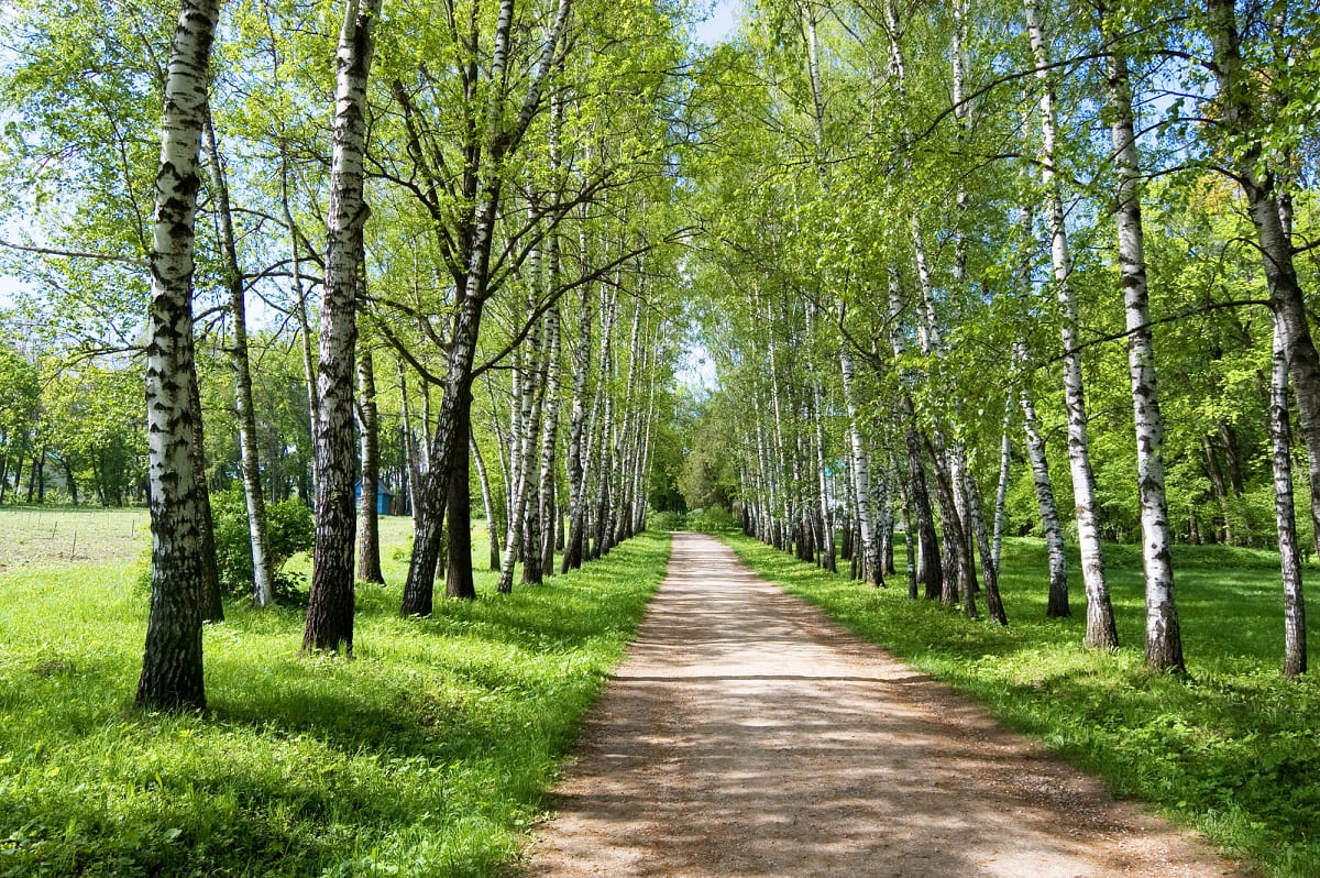 Прогулка по Туле во время длинных выходных