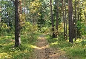 Health Retreat at an Attractive Price