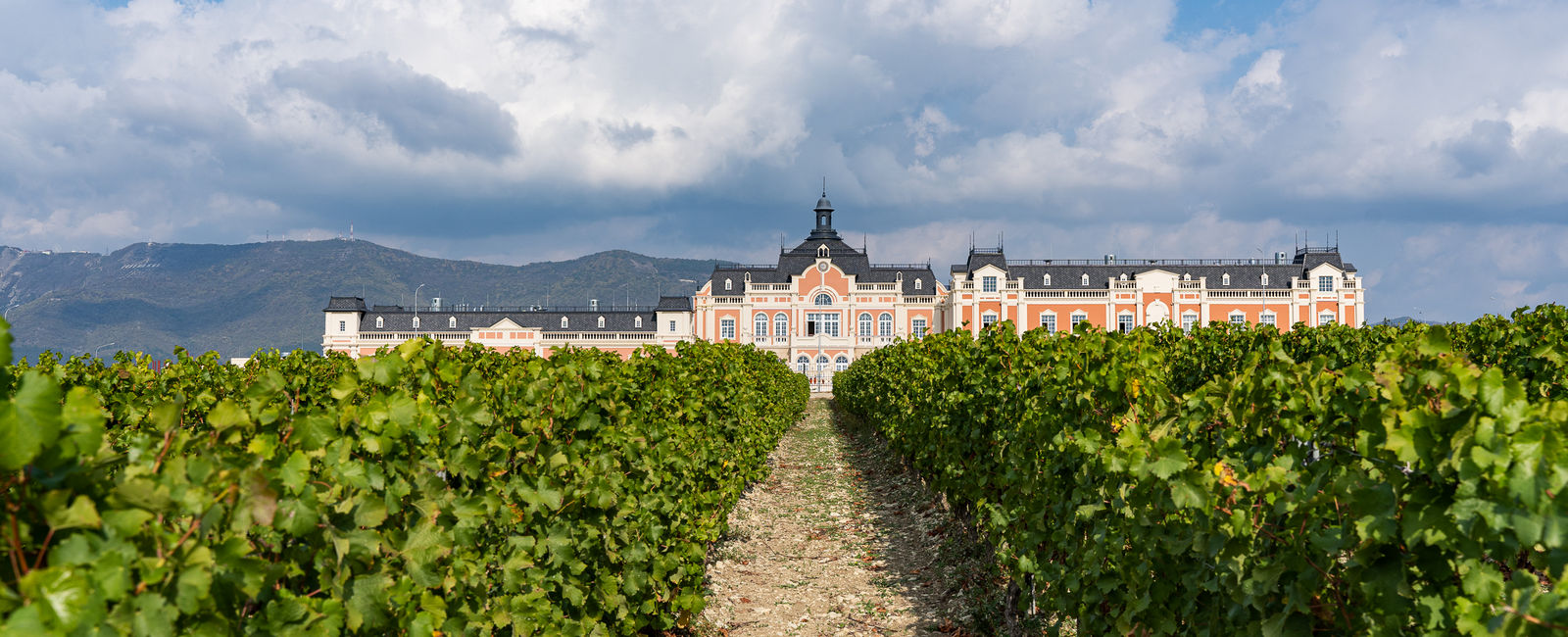 Экскурсия на винодельню Chateau de Talu недалеко от METROPOL Гранд Отель  Геленджик