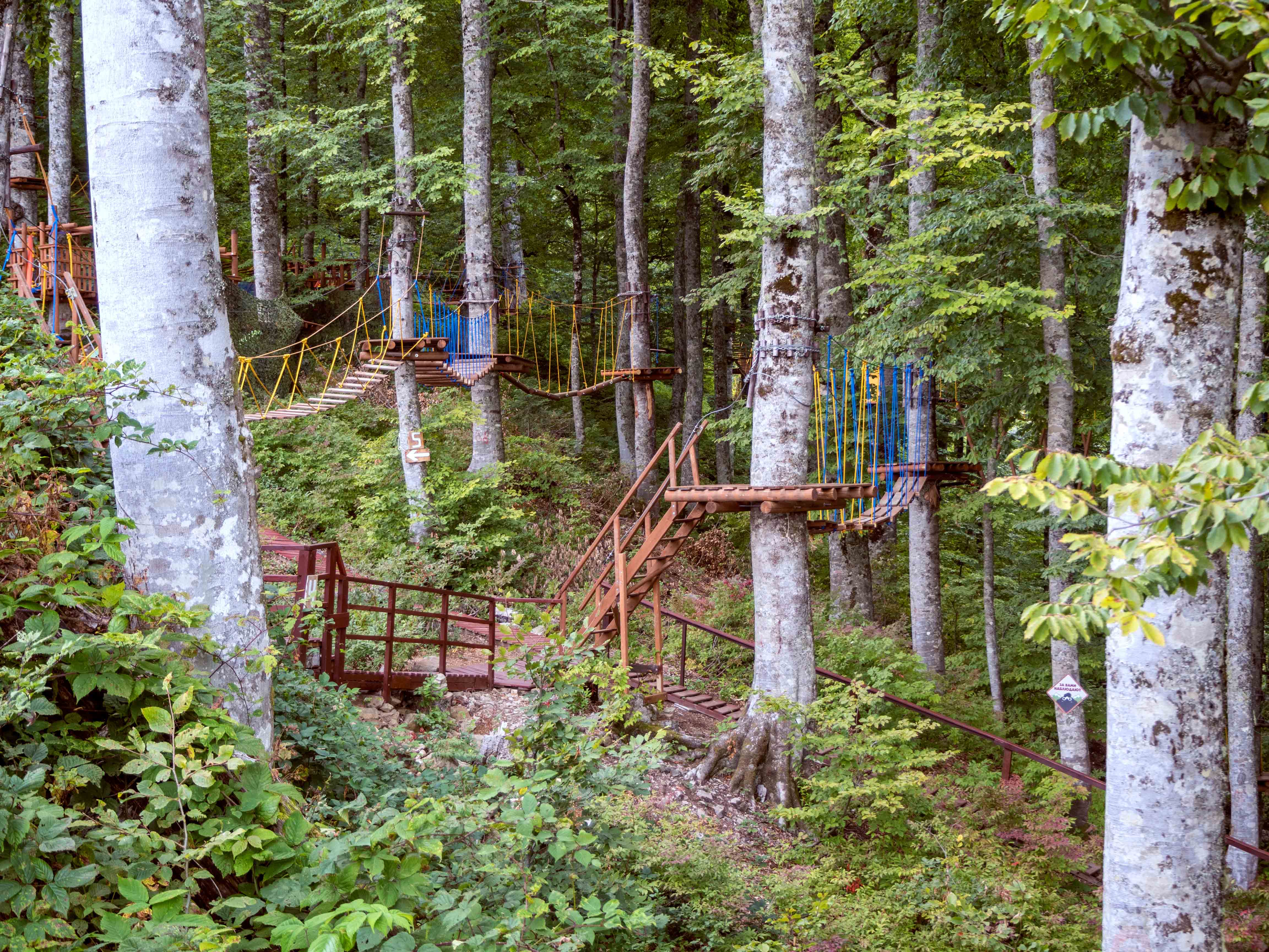 The Rope Bridge on the Top of Mountain of Rosa Khutor, Russia, Nature Stock  Footage ft. abyss & altitude - Envato Elements