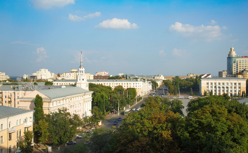 Воронеж вид