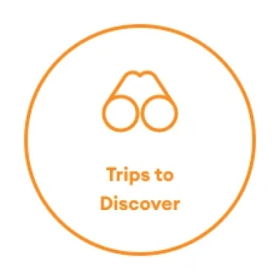 Trips to Discover