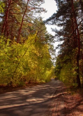 Шадринск