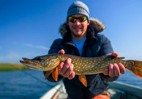 Рыбалка в Астрахани летом и осенью