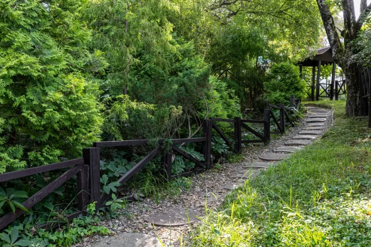 Территория AZIMUT Здоровье Ивушка Сочи