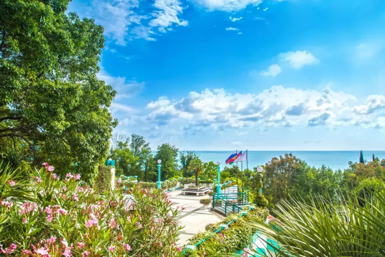 Территория AZIMUT Здоровье Ивушка Сочи