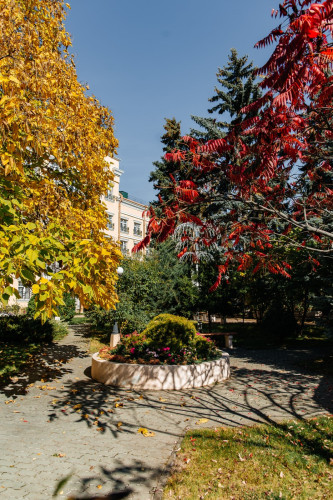 Территория