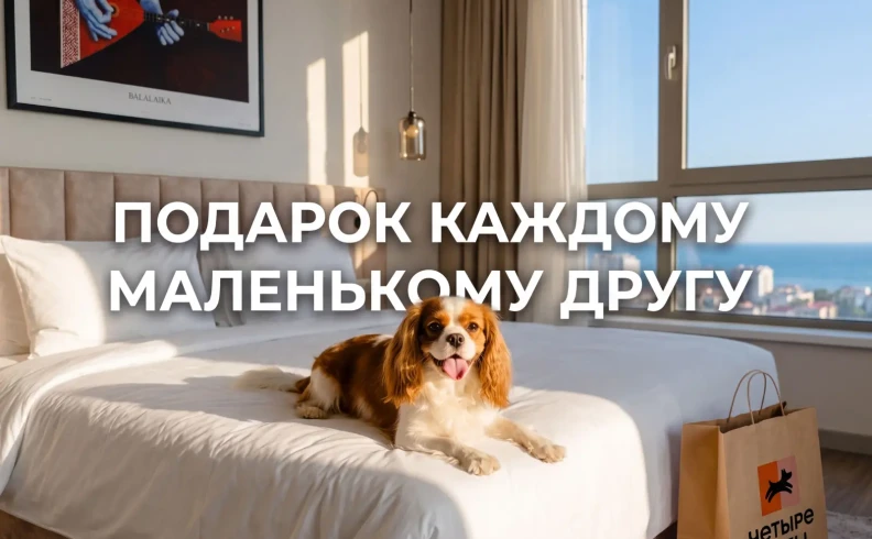 Проживание с животными в AZIMUT Парк Отель Виноградная Сочи
