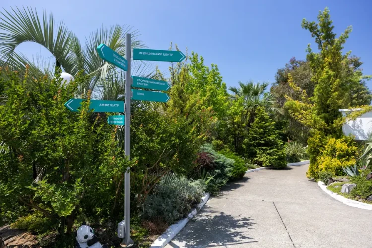 Территория AZIMUT Здоровье Ивушка Сочи