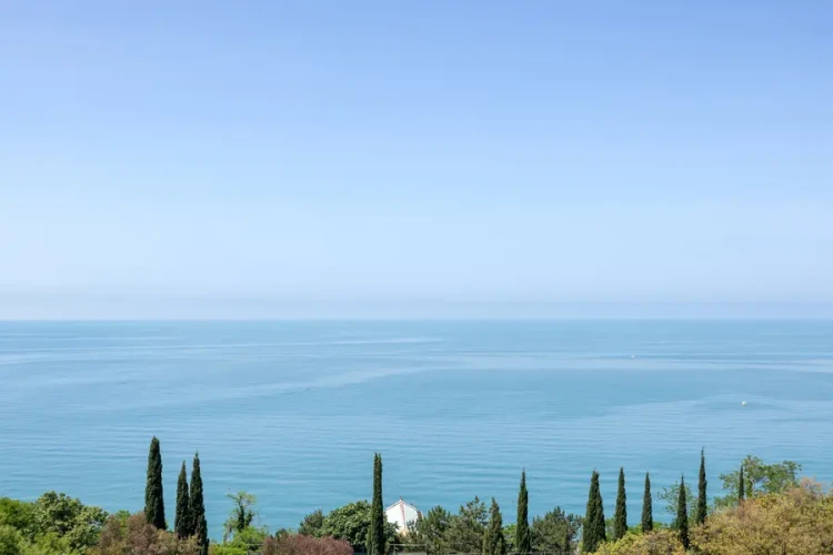 Люкс AZIMUT Здоровье Ивушка Сочи