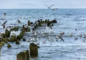 Лето у моря со скидкой 10%