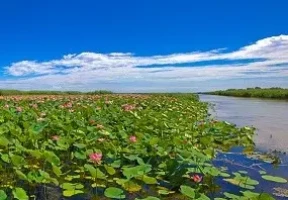 Заранее – выгодно в AZIMUT Парк Отель Волга Астрахань