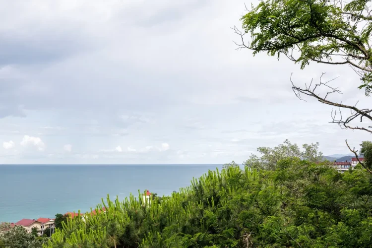 Комфорт AZIMUT Здоровье Ивушка Сочи