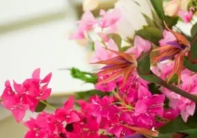 May holidays at AZIMUT Park Hotel Prometey Nebug