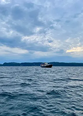 Арктические морские круизы