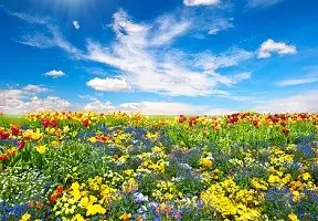 Летний отдых в отелях и санаториях AZIMUT