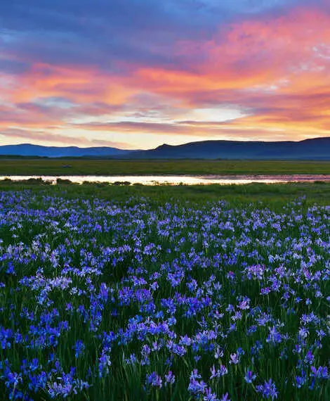 Khakass Biosphere Reserve