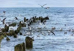 Лето у моря со скидкой 10%