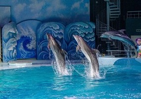 Find out, surprise, relax: family weekend in Novosibirsk