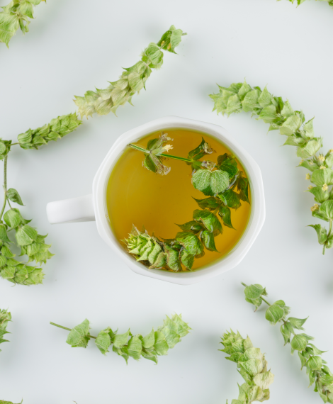 Phytobar and drinking procedures