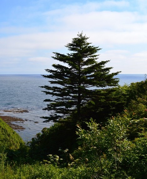 Traveling around Sakhalin