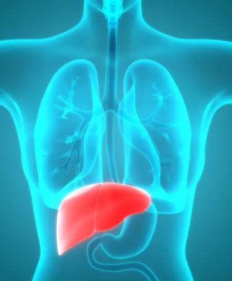 Treatment with Laennec